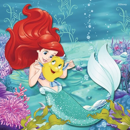 media/pim/3x49p-aventure-des-princesses-4005556093502_22.jpg