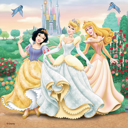 media/pim/3x49p-reves-princesses-disney-3x49p-reves-princesses-disney-4005556094110_10.jpg