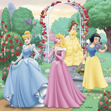 media/pim/3x49p-reves-princesses-disney-3x49p-reves-princesses-disney-4005556094110_5.jpg