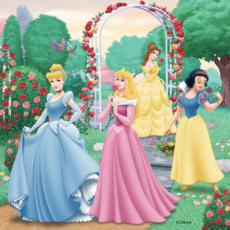 media/pim/3x49p-reves-princesses-disney-3x49p-reves-princesses-disney-4005556094110_8.jpg