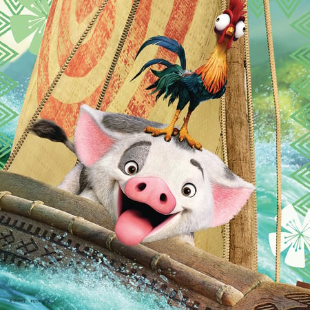 media/pim/3x49p-vaiana-4005556080045_10.jpg