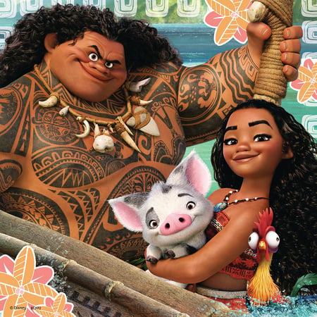 media/pim/3x49p-vaiana-4005556080045_8.jpg