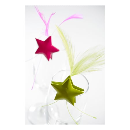 media/pim/4-etoiles-metal-sur-pincevert-3016600100832_2.jpg