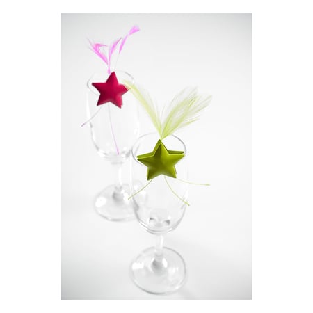 media/pim/4-etoiles-metal-sur-pincevert-3016600100832_5.jpg