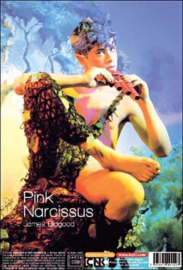 Pink Narcissus