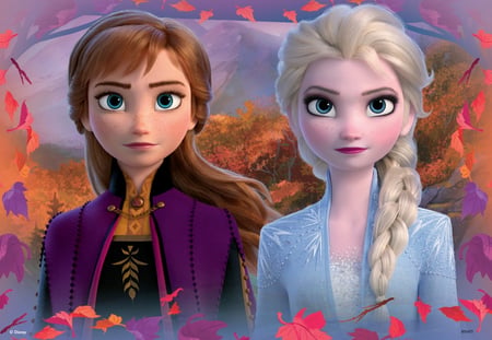 media/pim/41_230921_5_110_FR.jpg