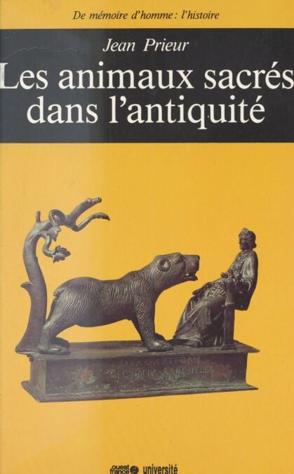 media/pim/41_41b8d0fb-02db-4013-b008-46e55e40b53f.jpeg