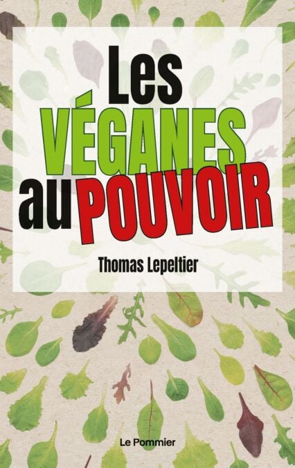 media/pim/41_9977a276-1b6c-4de3-a85e-74de221fd9a5.jpeg