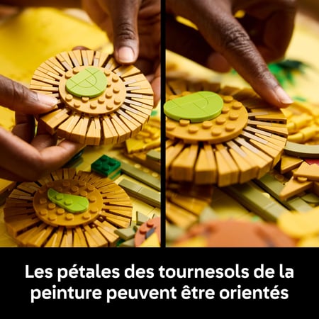 media/pim/43_10827853_8_30_FR.jpg
