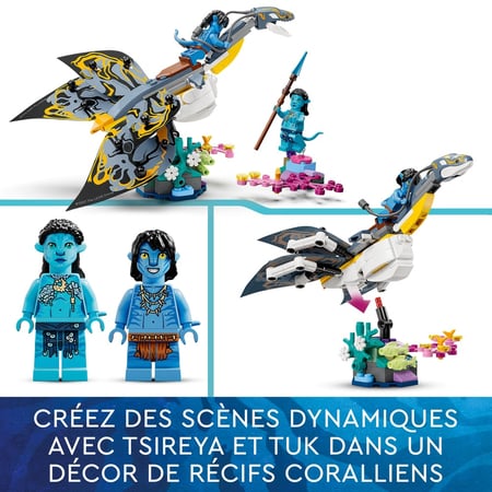 media/pim/43_4955387_8_30_FR.jpg