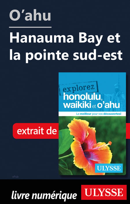 media/pim/43_metadata-image-51510973.jpeg