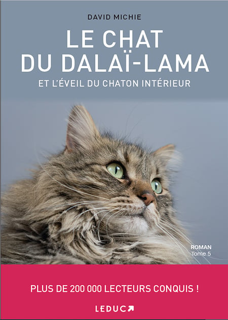 media/pim/43_metadata-image-56064393.png