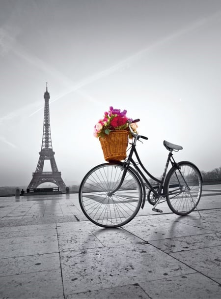 media/pim/44_3009480_4_30_FR.jpg