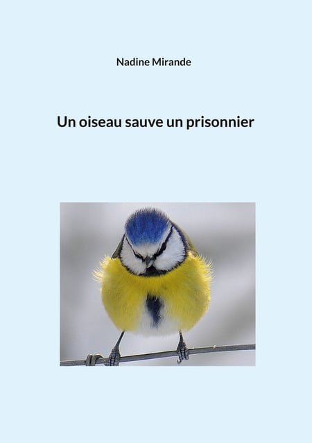 media/pim/44_metadata-image-61418441.jpeg