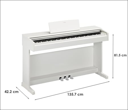 media/pim/4500037_66063732