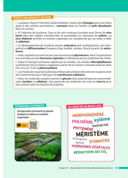 media/pim/4532651_1l2teae0_5_c5fc6