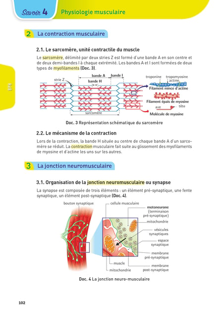 media/pim/4532803_1s03kfx5_13_cb806