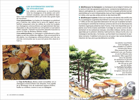 media/pim/4564556_1543asys_3_bc941