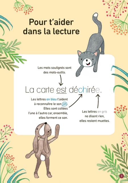 media/pim/4567329_xo4r3coq_3_de24c