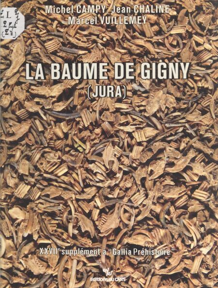 media/pim/45_47b8616b-5d6b-4dd0-bbed-5a8cefd5c803.jpeg
