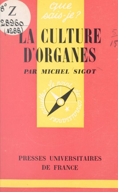 media/pim/45_b7630554-aba8-4ce6-8389-b45132a4994b.jpeg