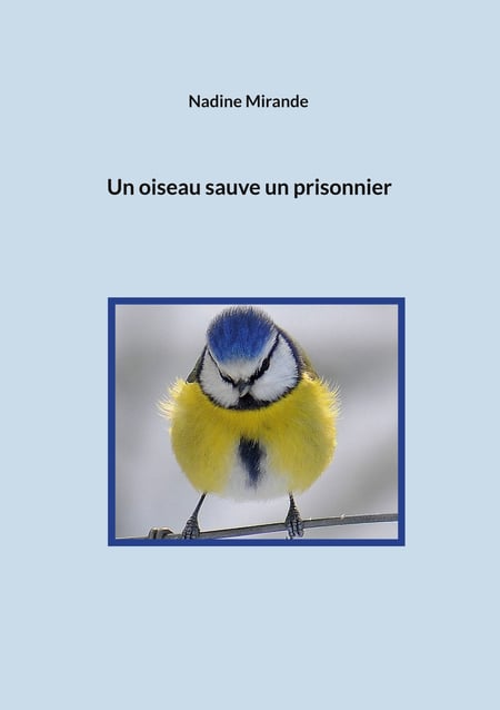 media/pim/45_metadata-image-61743343.jpeg