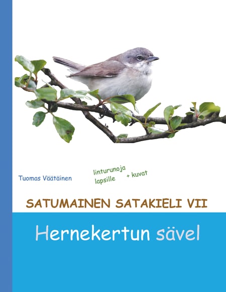 media/pim/45_metadata-image-64690185.jpeg