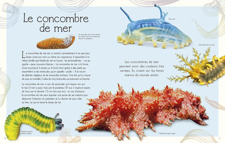 media/pim/4639970_utdqjnuu_3_cc0bb