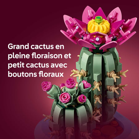 media/pim/47_12488441_8_30_FR.jpg