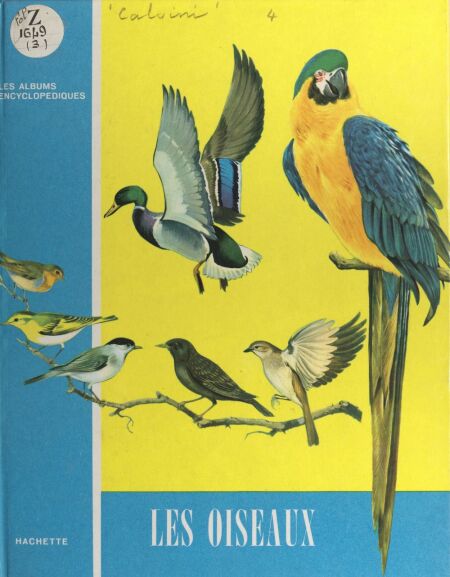 media/pim/48_a3a87ba4-67d9-4b99-b58b-569ce0bc04d0.jpeg