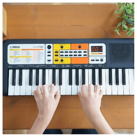 Clavier Nordse - Portable - 25 touches - Mini clavier - Mini piano - En  déplacement 