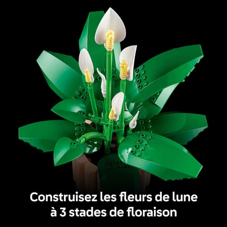 media/pim/49_12488479_8_30_FR.jpg