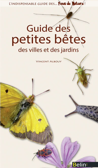 media/pim/49_4cb6bb46-98ee-4e16-be56-7c3cc2a324f7.jpeg