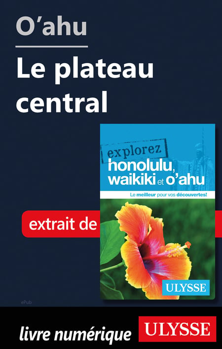 media/pim/49_metadata-image-51510976.jpeg