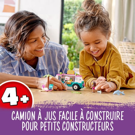 media/pim/4_219821_17_110_FR.jpg
