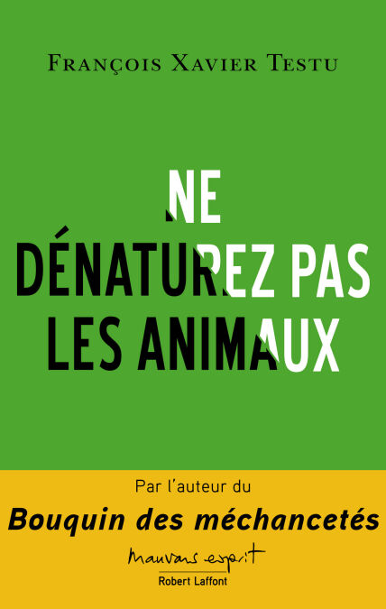 media/pim/4_c488dacc-b3a4-41a9-a54c-5a8fd4221319.jpeg