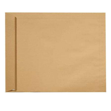media/pim/5-pochettes-kraft-260-330-auto-adhesif-3700408400767_3.jpg