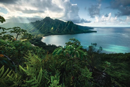 media/pim/5000p-vue-de-hawai-4005556161065_10.jpg
