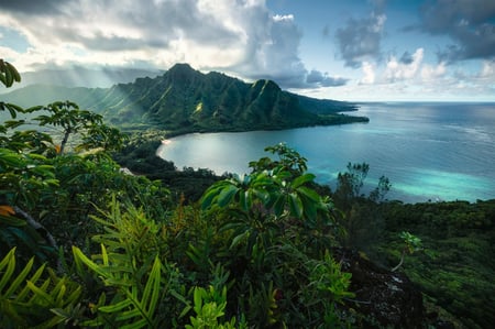 media/pim/5000p-vue-de-hawai-4005556161065_2.JPG