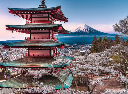 media/pim/500p-au-c-ur-du-japon-4005556871544_10.jpg