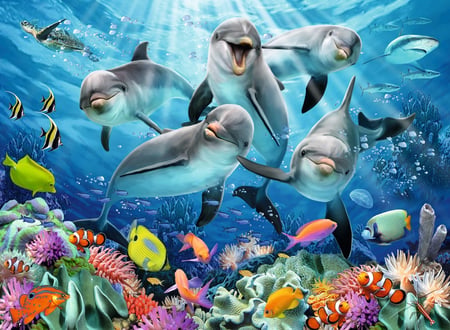 media/pim/500p-dauphins-sur-le-recif-4005556147106_3.JPG