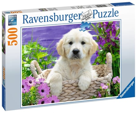 media/pim/500p-doux-golden-retriever-4005556148295_0.JPG
