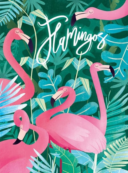 media/pim/500p-flamants-roses-fantastiques-animaux-8005125350674_1.JPG