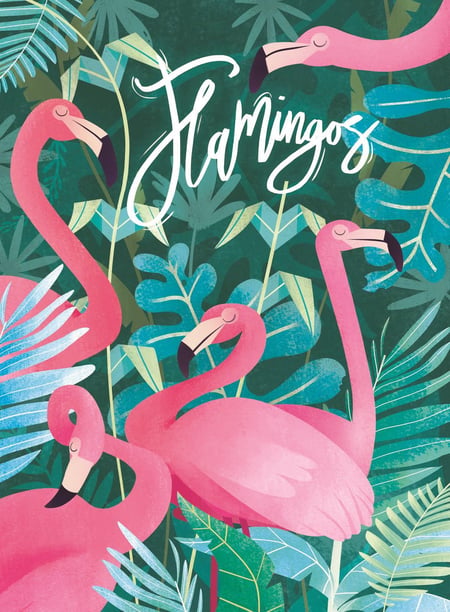 media/pim/500p-flamants-roses-fantastiques-animaux-8005125350674_6.jpg