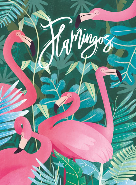 media/pim/500p-flamants-roses-fantastiques-animaux-8005125350674_7.jpg