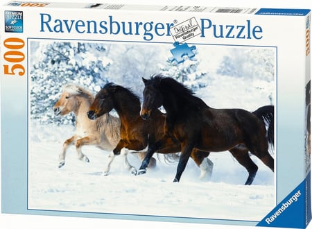 media/pim/500p-galop-dans-la-neige-500p-galop-dans-la-neige-4005556141401_0.JPG