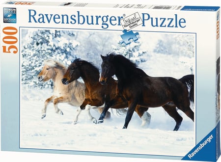 media/pim/500p-galop-dans-la-neige-500p-galop-dans-la-neige-4005556141401_6.jpg