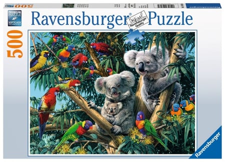 media/pim/500p-koalas-dans-l-arbre-4005556148264_1.JPG