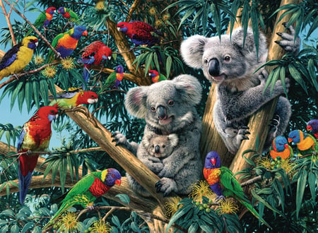 media/pim/500p-koalas-dans-l-arbre-4005556148264_15.jpg
