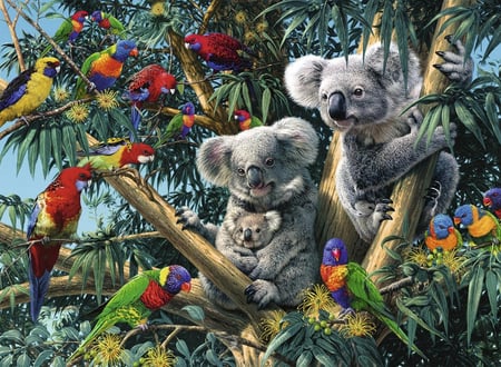 media/pim/500p-koalas-dans-l-arbre-4005556148264_5.jpg
